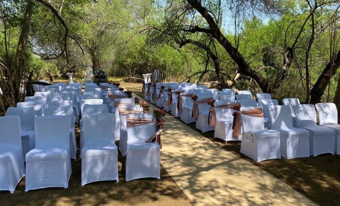 3.chairwithsashes&proteasOCTOBER