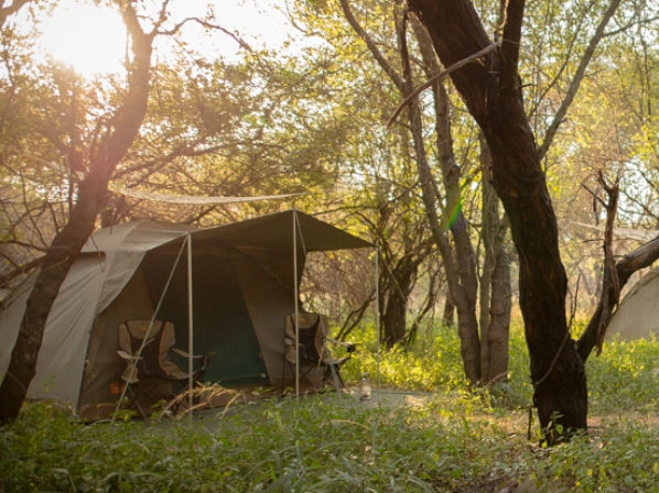 Tandala Trail Camp tent