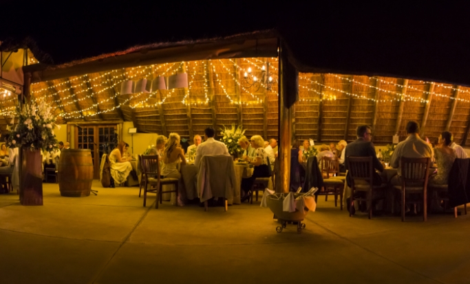 Wedding Image 8